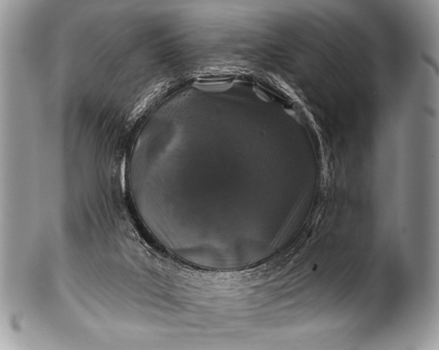 X0000100390019200806201724