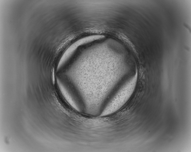 X0000100390020200806201724