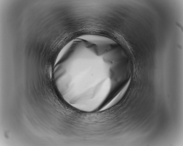 X0000100390021200806201724