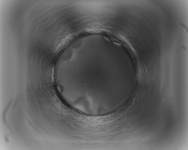 X0000100390023200806201724