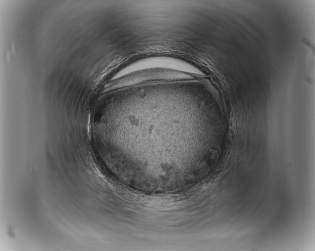 X0000100390024200806201724