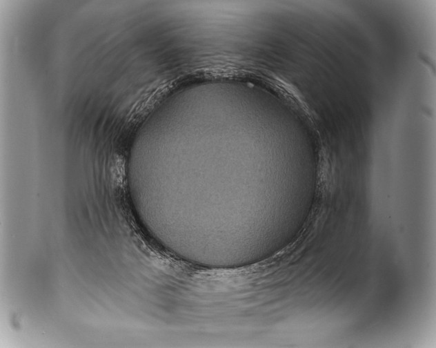 X0000100390025200806201724