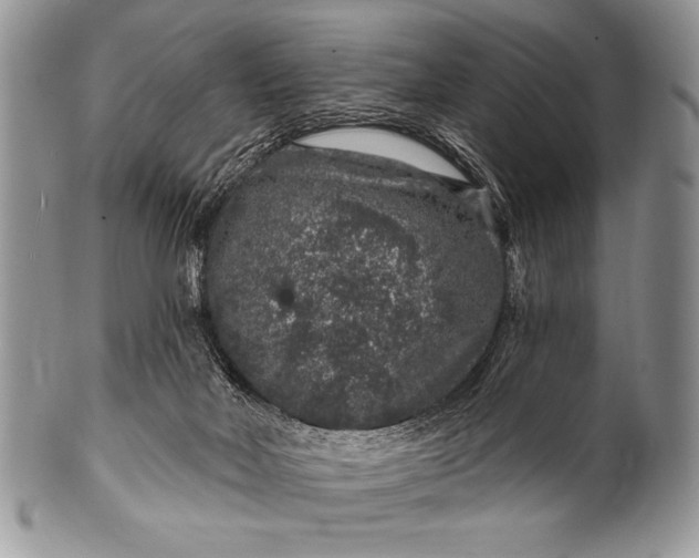 X0000100390026200806201724