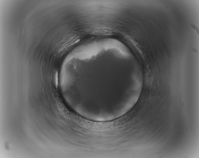 X0000100390027200806201724