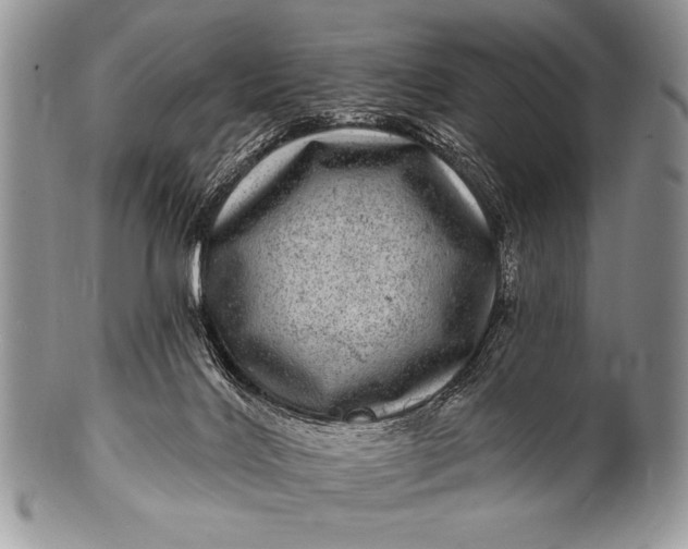 X0000100390028200806201724