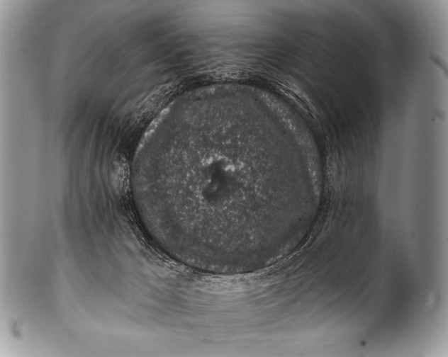 X0000100390029200806201724