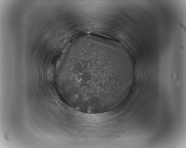 X0000100390030200806201724