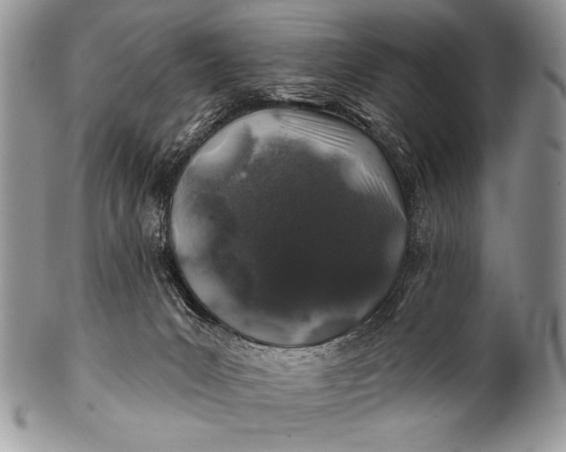 X0000100390031200806201724