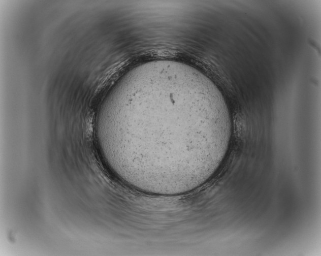 X0000100390032200806201724