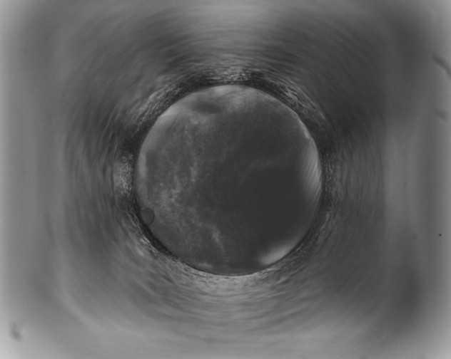 X0000100390035200806201724