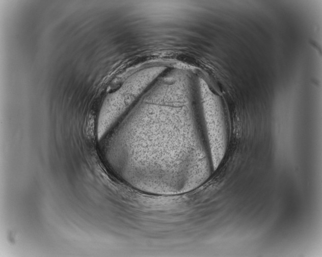 X0000100390036200806201724