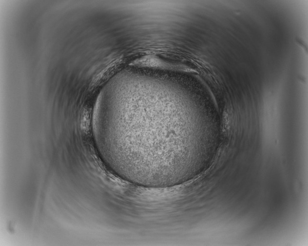 X0000100390037200806201724