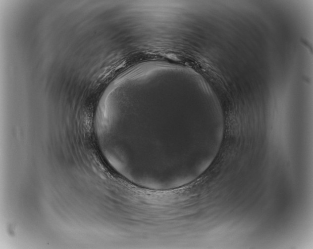 X0000100390039200806201724