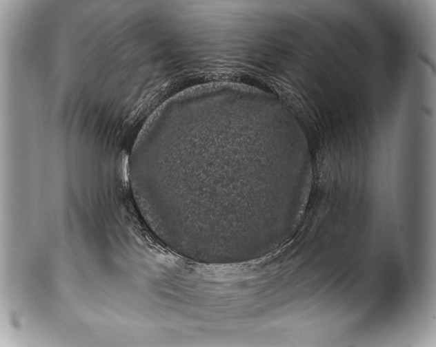 X0000100390041200806201724