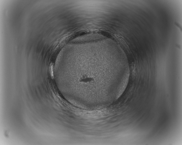 X0000100390042200806201723