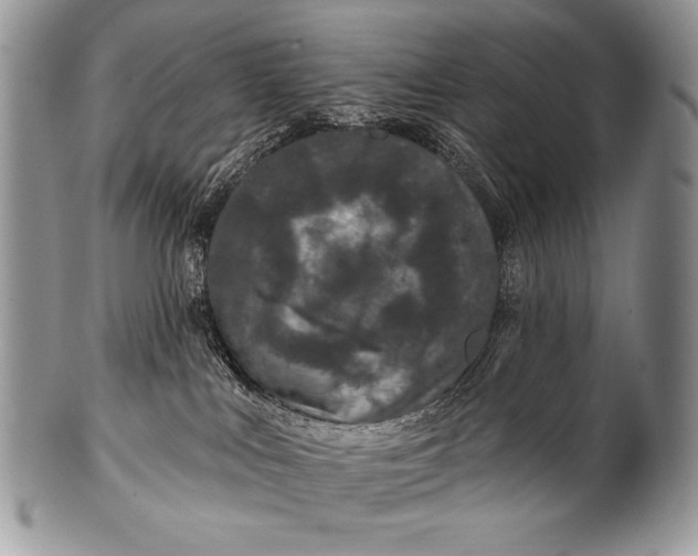 X0000100390043200806201723