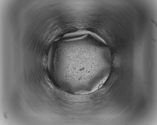 X0000100390044200806201723