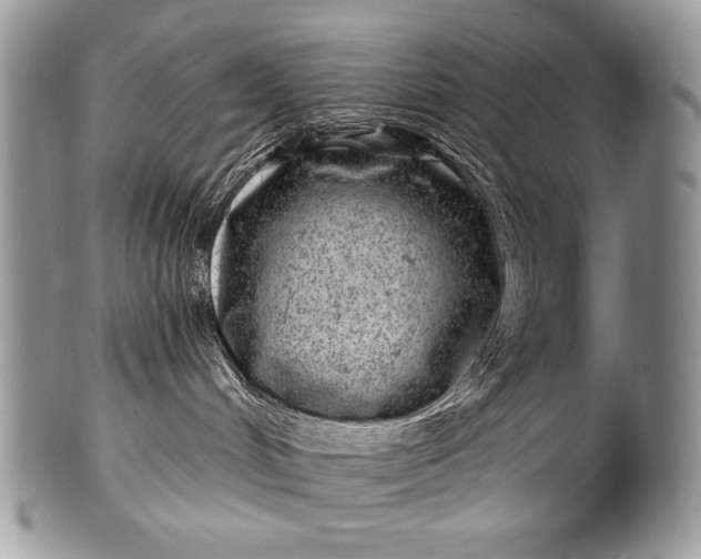 X0000100390048200806201723