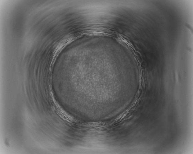 X0000100390049200806201723