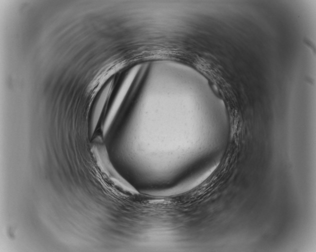 X0000100390050200806201723