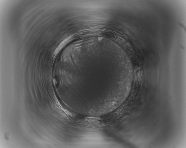 X0000100390051200806201723