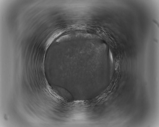 X0000100390052200806201723