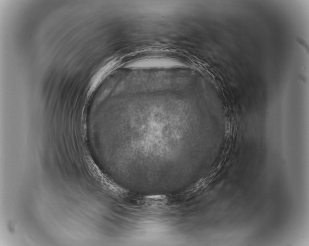 X0000100390053200806201723