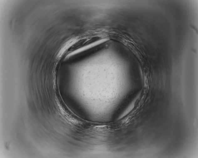 X0000100390054200806201723