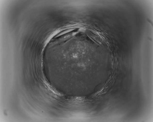 X0000100390056200806201723