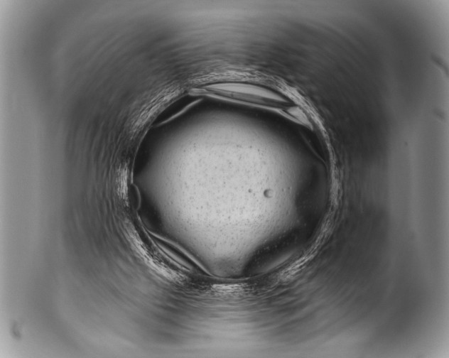 X0000100390057200806201723