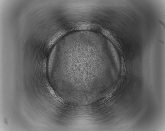 X0000100390058200806201723