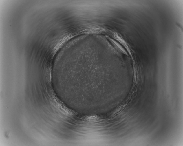 X0000100390059200806201723