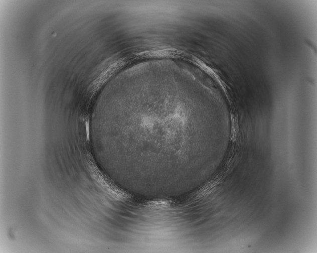 X0000100390061200806201723