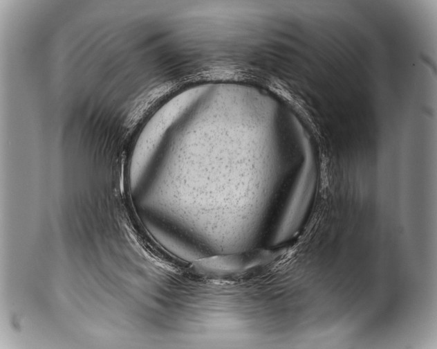 X0000100390062200806201723