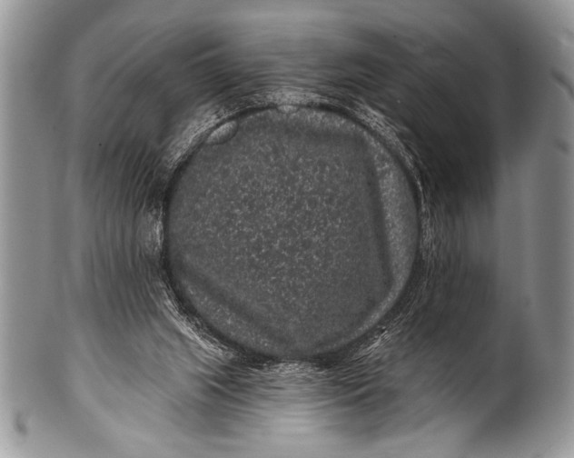 X0000100390063200806201723