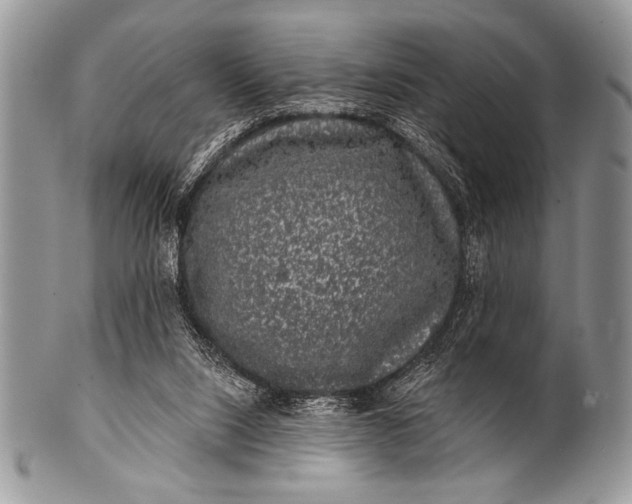 X0000100390064200806201723