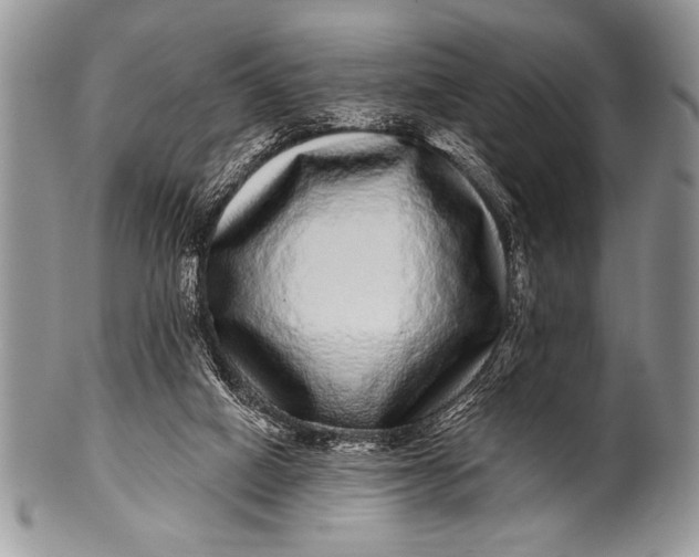 X0000100390066200806201723