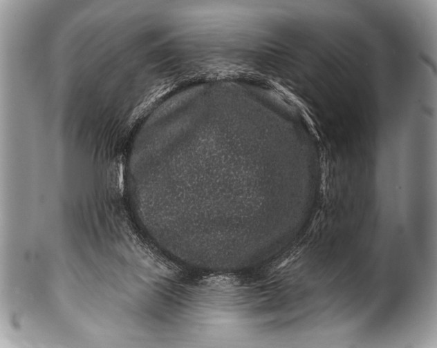 X0000100390067200806201723