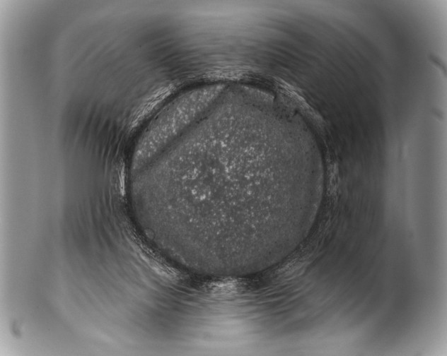 X0000100390068200806201723