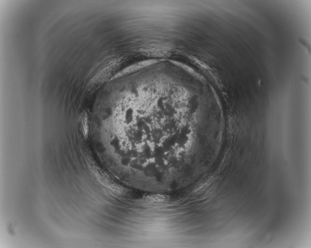 X0000100390069200806201723