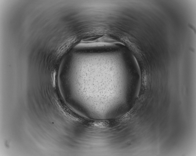 X0000100390070200806201723