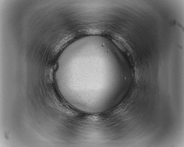 X0000100390071200806201723