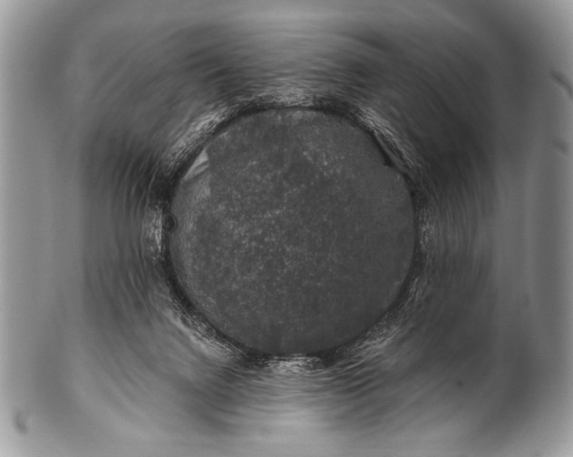 X0000100390072200806201723