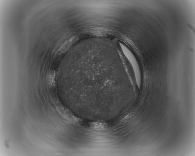 X0000100390073200806201723