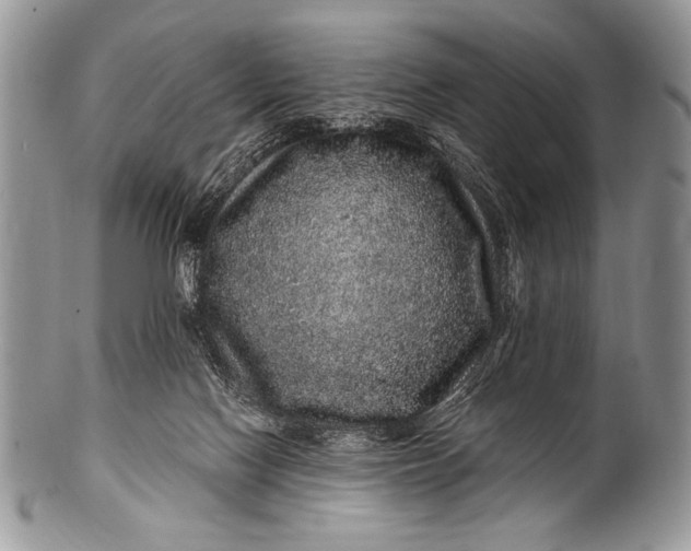 X0000100390074200806201723