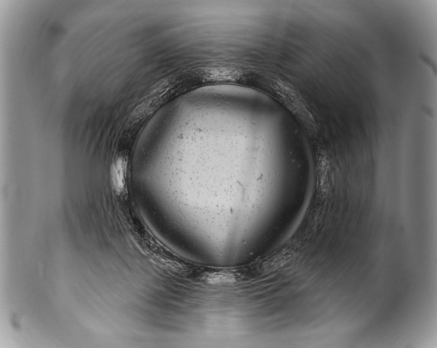 X0000100390075200806201723