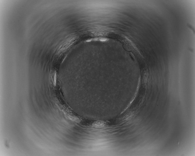 X0000100390076200806201723