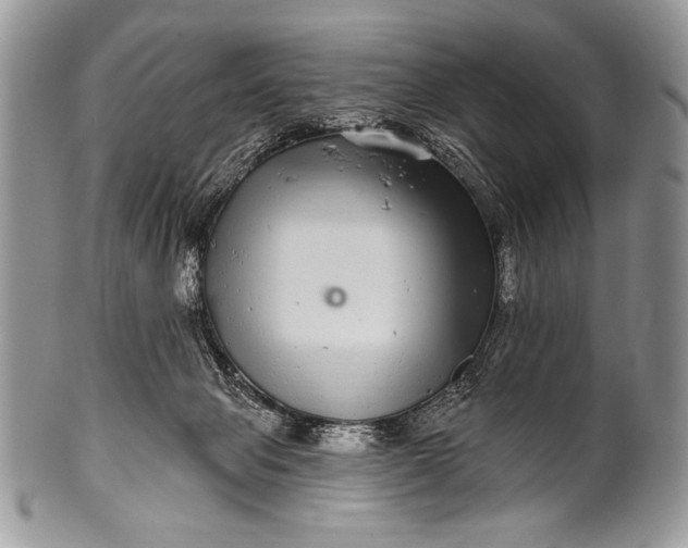 X0000100390077200806201723