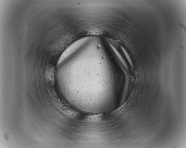 X0000100390078200806201723