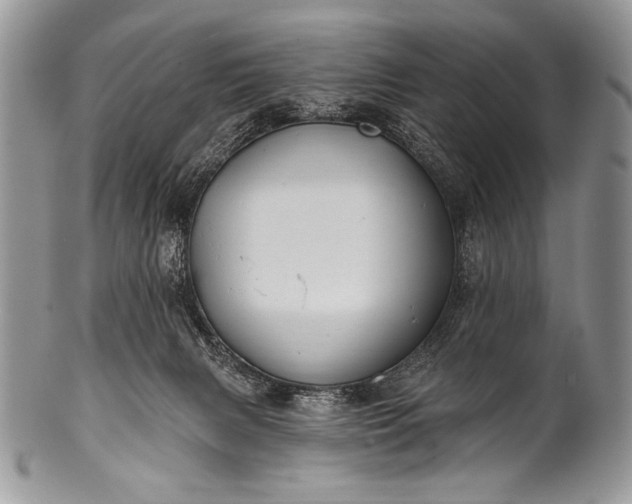 X0000100390079200806201723